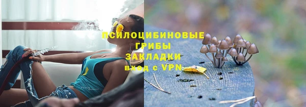 Альфа ПВП Арсеньев
