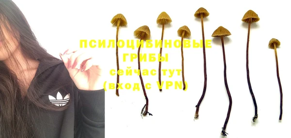 прущий лед Аркадак