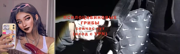прущий лед Аркадак