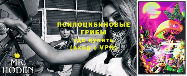 индика Армянск